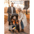 Прогулочная коляска SBL Unica Black