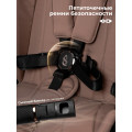 Коляска 2в1 SBL Elegante Therma