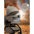 Коляска 2в1 SBL Orso