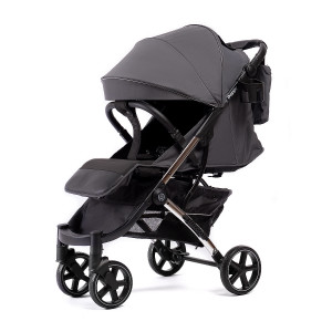 Коляска прогулочная Peppy Polo 2.0