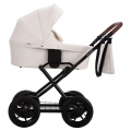 Коляска 2в1 Bebetto AQUARIUS PRO