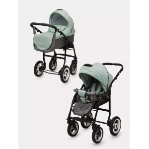 Коляска 2 в 1 Rant Dream