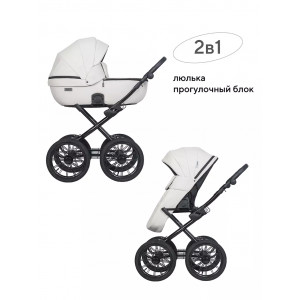 Коляска 2 в 1 Riko Basic Montana Ecco Prestige