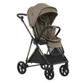 Tuareg Beige/рама carbon gold