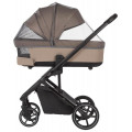 Коляска 2 в 1 Carrello Vector F CRL-6700