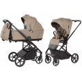 Коляска 2 в 1 Carrello Vector F CRL-6700