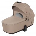 Коляска 2 в 1 Carrello Vector F CRL-6700