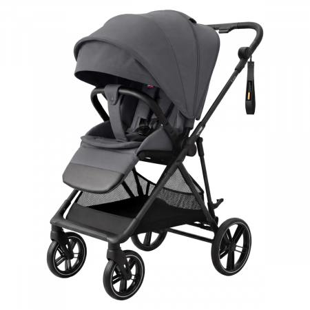 Коляска прогулочная Carrello Extra CRL- 5532